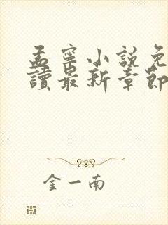 孟宁小说免费阅读最新章节封面