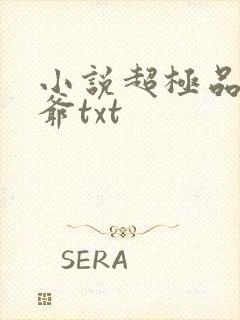 小说超极品万岁爷txt