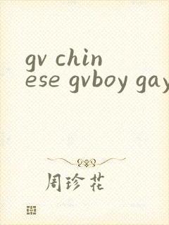 gv chinese gvboy gay tube