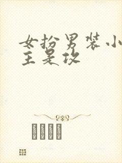 女扮男装小说女主是攻封面