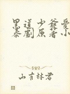 黑道少爷爱上我泰剧原著小说