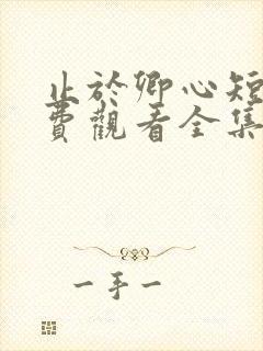 止于卿心短剧免费观看全集播放