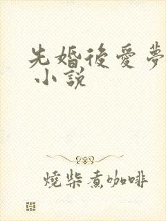 先婚后爱梦筱二 小说