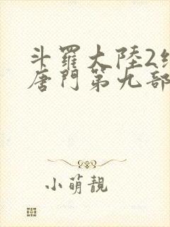 斗罗大陆2绝世唐门第九部封面