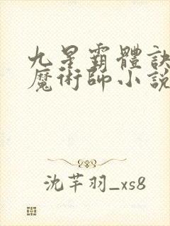 九星霸体诀平凡魔术师小说免费完整观看封面