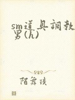 sm道具调教男男(h)