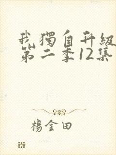 我独自升级动漫第二季12集