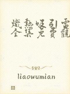 炽热吸引电视剧全集免费观看31集