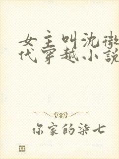 女主叫沈微的古代穿越小说