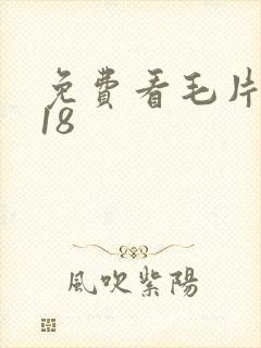 免费看毛片女人18