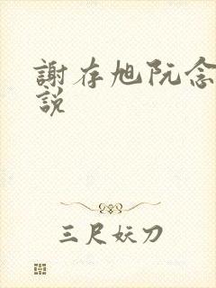 谢存旭阮念清小说封面