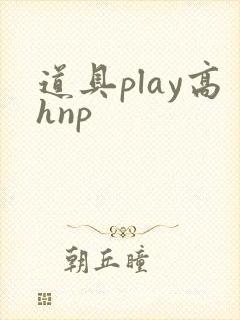 道具play高hnp