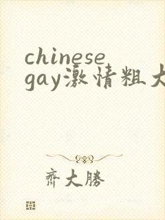 chinesegay激情粗大