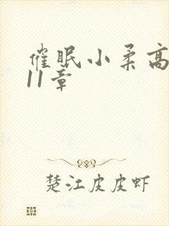 催眠小柔高达第11章