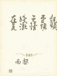 在线免费观看欧美激情视频