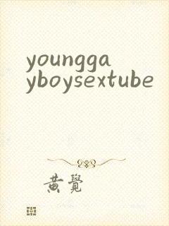 younggayboysextube