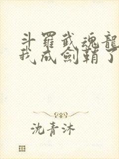 斗罗武魂龙渊剑我成剑鞘了在线阅读