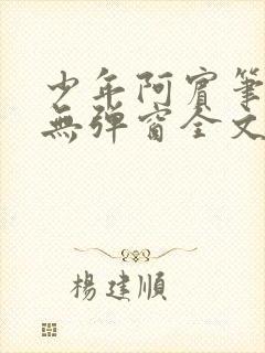 少年阿宾笔趣阁无弹窗全文免费阅读