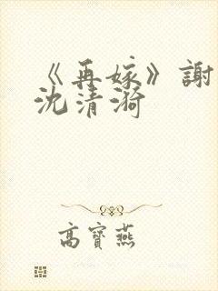 《再嫁》谢臣宁沈清漪