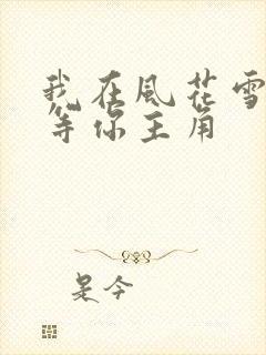 我在风花雪月里等你主角封面