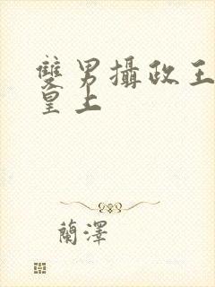 双男摄政王cp皇上