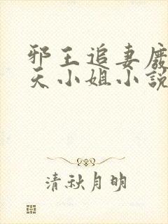 邪王追妻废材逆天小姐小说