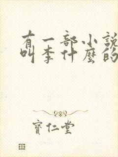 有一部小说主角叫李什么的封面