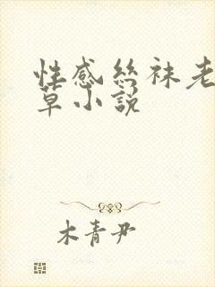 性感丝袜老师被草小说