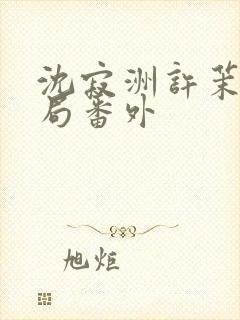 沈寂洲许茉大结局番外封面