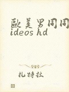 欧美男同同性videos hd