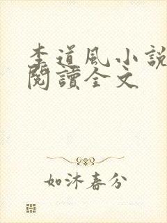 李道风小说在线阅读全文封面