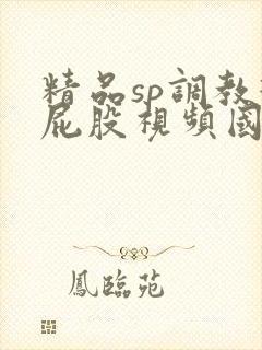 精品sp调教打屁股视频国产