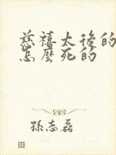 慈禧太后的儿子怎么死的