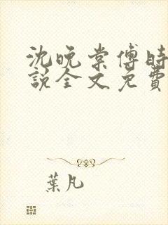 沈晚棠傅时川小说全文免费阅读