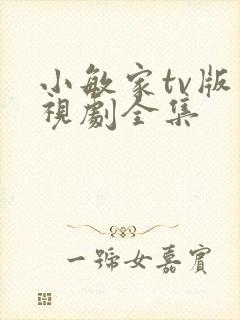 小敏家tv版电视剧全集封面