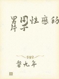 男同性恋的黄色片子