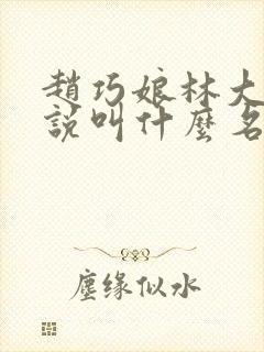 赵巧娘林大盛小说叫什么名字