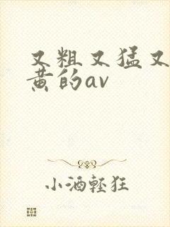 又粗又猛又爽又黄的av