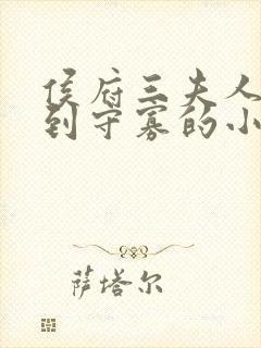 侯府三夫人重生到守寡的小说