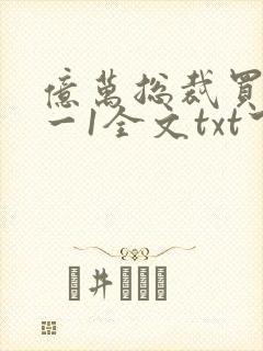 亿万总裁买一送一1全文txt下载