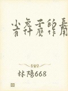 小兔子的长耳朵有什么作用封面