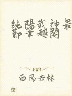 纯阳武神最新章节笔趣阁封面