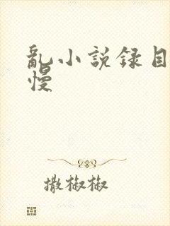 乱小说录目伦慢慢