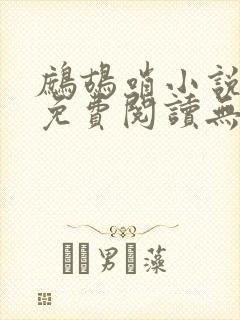 鹧鸪哨小说网站免费阅读无弹窗