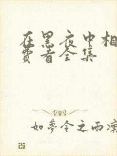 在黑夜中相拥免费看全集