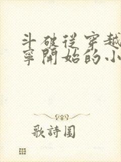 斗破从穿越到萧宁开始的小说