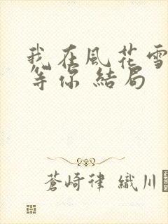 我在风花雪月里等你 结局封面