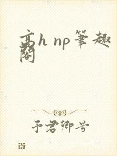高h np笔趣阁