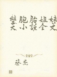 双胞胎姐妹乐翻天小说全文阅读封面