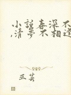 小说春深不归客,清梦不相逢免费阅读